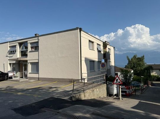 magnificent studio completely renovated on the top floor of a small PPE escaped lake - Photo 1