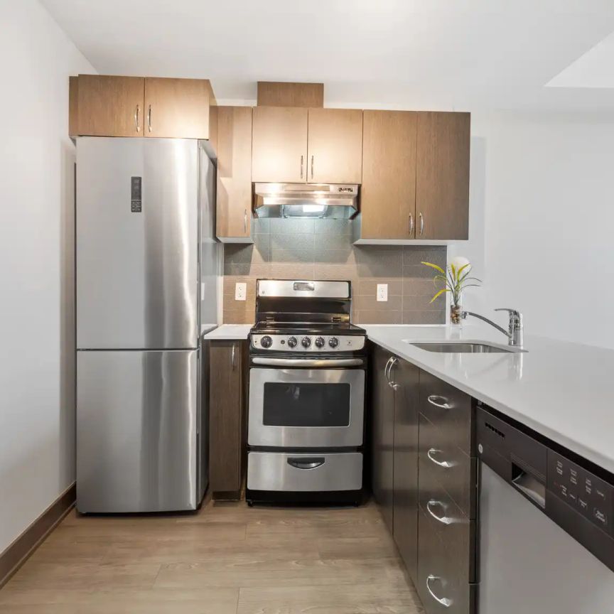 169 Lisgar St. — 1 Bedroom - Photo 1