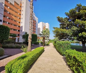 Apartment in Guardamar del Segura, PUERTO, for rent - Photo 3