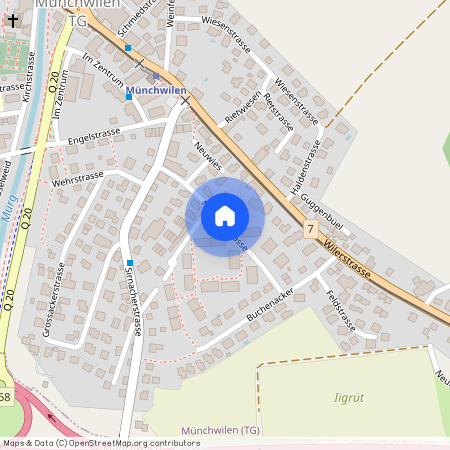 Neugrütstrasse, 9542 Münchwilen TG