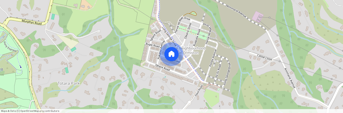 18 Canna Street, Totara Park, Manukau City