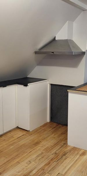 4 1/2 rénové, Triplex, Vieux-Nord, Internet - Thermopompe - SEPTEMBRE GRATUIT - Photo 1