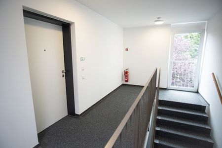 Lustenau: Schöne 2-Zimmer-Dachgeschosswohnung mit großer Terrasse - Photo 2
