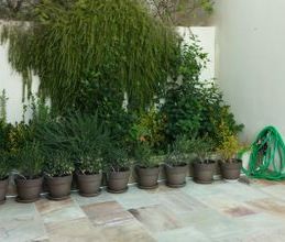 Μεζονέτα για ενοικίαση - Νέα Μάκρη, - Photo 6