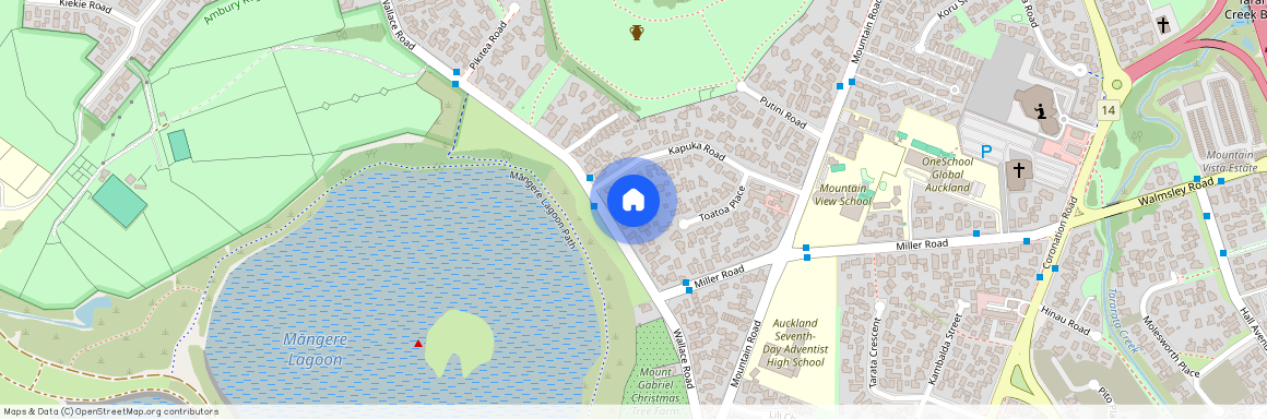 169C Wallace Road, Mangere Bridge, Auckland