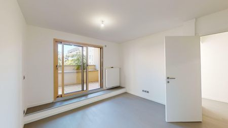 Ferney-Voltaire - Magnificent house for rent with garden - Photo 3