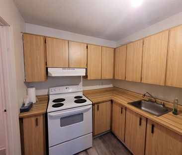14 Rue Des Flandres (Gatineau) Beau Logement De 1 Cc - Photo 3