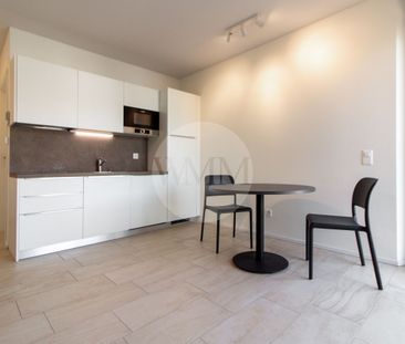 MODERNO MONOCALE ARREDATI A VIGANELLO - Foto 1