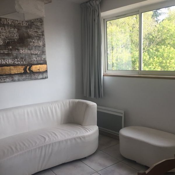 Location Appartement 2 pièces 36m² BLAGNAC 31700 - Photo 1