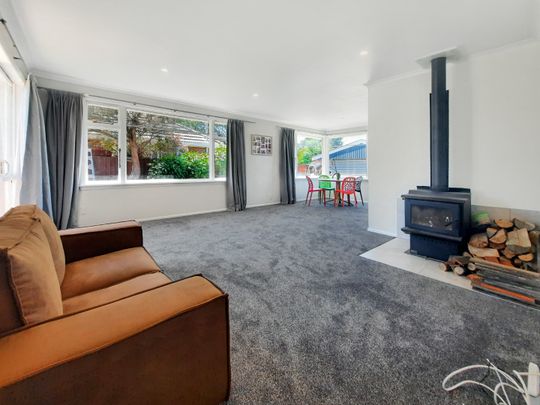 31 Samuel Street, Hoon Hay Christchurch 8025 - Photo 1