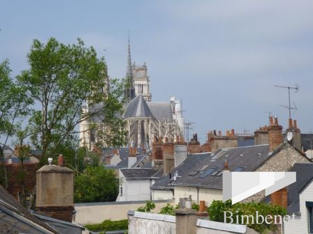 Appartement à louer, 2 pièces - Orléans 45000 - Photo 4