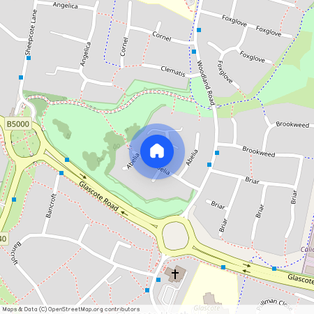 Abelia, Amington, Tamworth, Staffordshire, B77