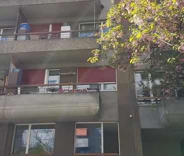 3 Zimmer, 75 m², 1. Stock - Foto 2