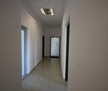 Warszawa, Wawer, Międzylesie, Zwoleńska - Zdjęcie 6