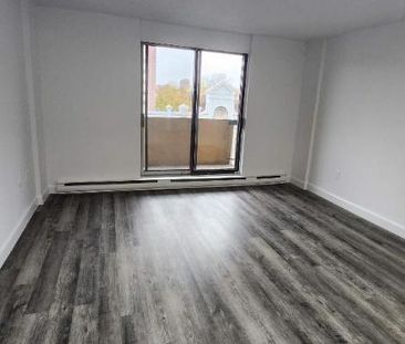 1 CH - 1 SDB - Montréal - $1,250 /mo - Photo 2