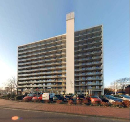 Appartement de type galerie Mercuriusweg 232, Purmerend - À louer - Photo 3