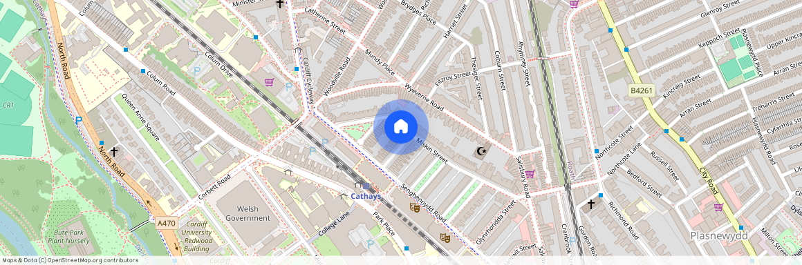 Llandough Street, CF24 4AW, Cathays