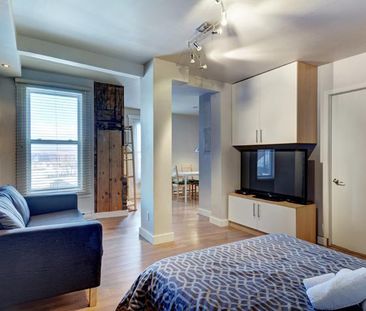 Loft entièrement meublé à louer Saint-Jean-Baptiste janvier 2026 - Photo 4