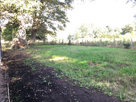 3 bedroom detached house to rent - Photo 3