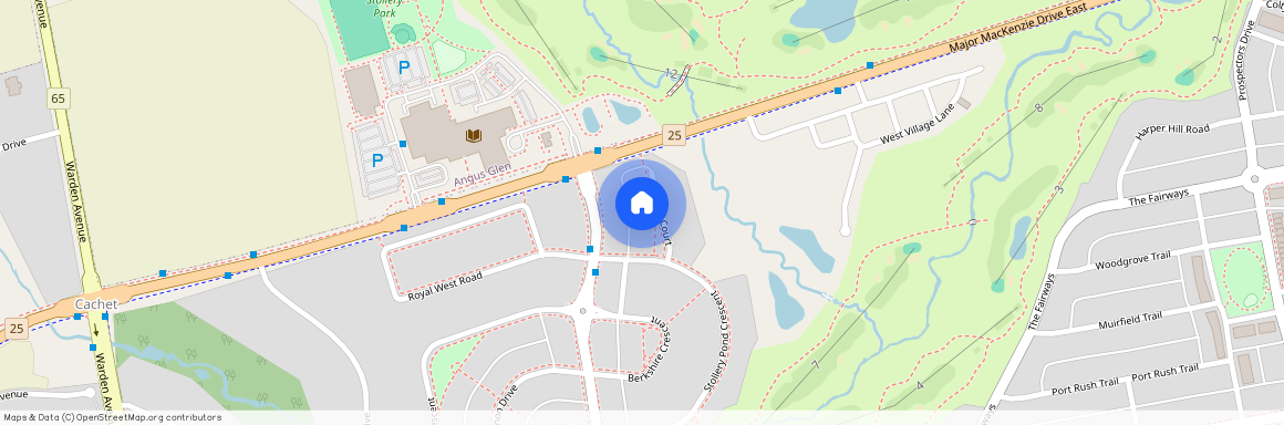 10 Tralee Court, Markham