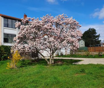 Maison Chaponost 6 pièce(s) 160 m2 - Photo 6