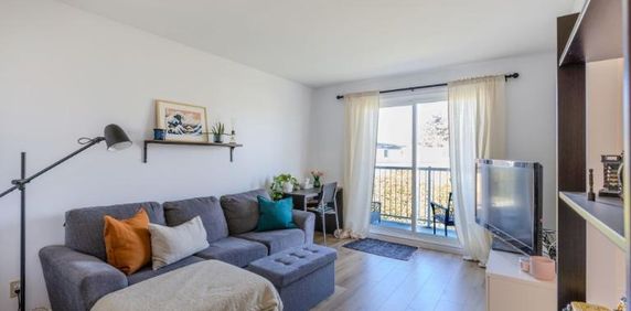 Appartement 3 ½ à louer Lévis novembre 2025 - Photo 2