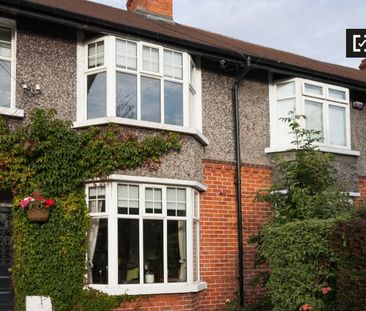 Attic room to rent in 5-bedroom house in Rathgar, Dublin - Photo 1