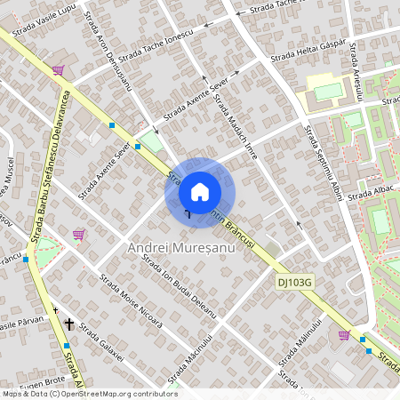 Strada Constantin Brâncuși, Gheorgheni, Cluj-Napoca, Cluj Metropolitan Area, Cluj, 400071, Romania