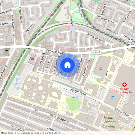 19 Egeria Street, Donegall Road, Belfast, BT12 5PN