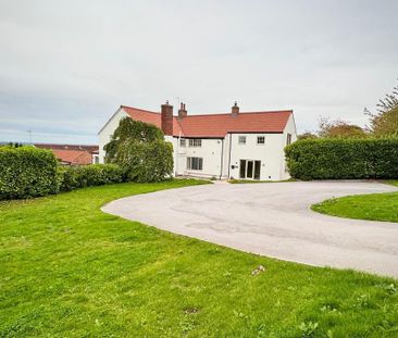 3 bedroom semi-detached house to rent - Photo 6