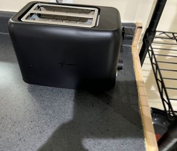 For Lease - 3968 St Peter Street Unit# Lower, Niagara Falls, Ontario - Photo 5