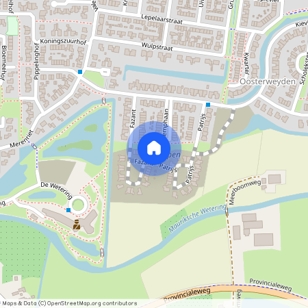 Fazant 37, Verspreide huizen Maurik, 4021JA