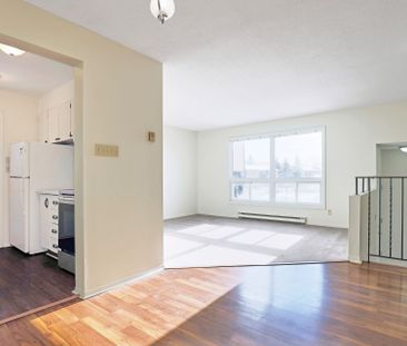 For Lease - 137 Renova Private, Alta Vista and Area, Ontario - Photo 4