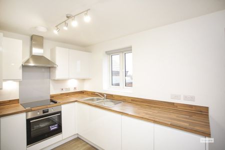 Storer Road - Photo 5