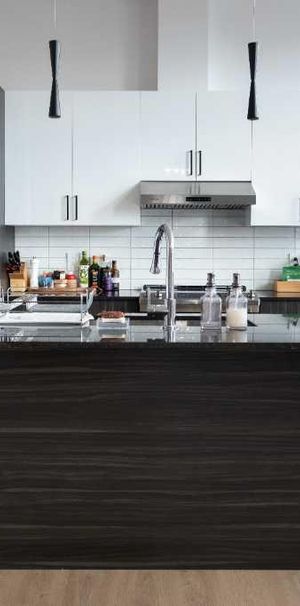 Magnifique 4½ lumineux à aire ouverte à Saint-Hyacinthe - Photo 1