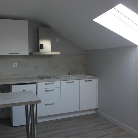 Location Appartement 1 pièce 19m² NANTES 44100 - Photo 3