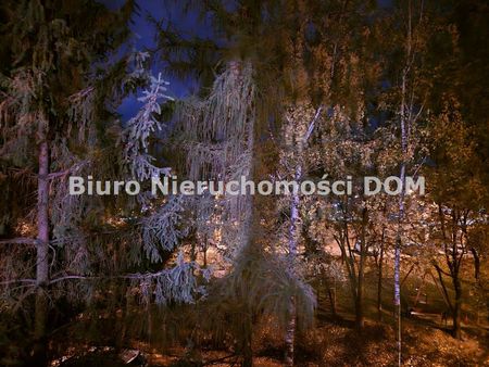 Częstochowa, Tysiąclecie - Photo 2