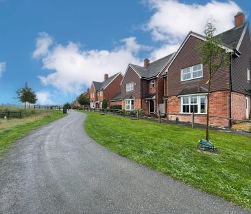 3 bedroom semi-detached house to rent - Photo 2