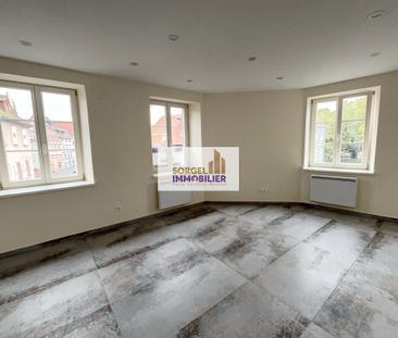 Location Appartement 4 pièces 75m² SELESTAT 67600 - Photo 1