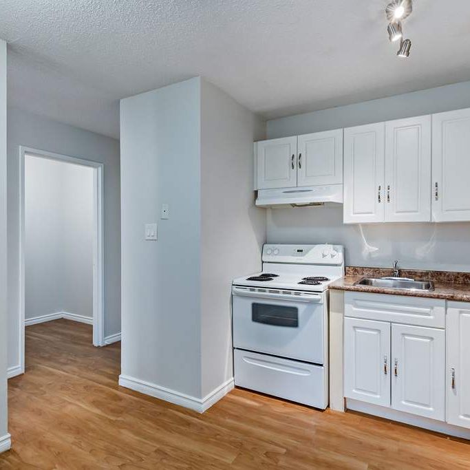 Renovated Suite - 1 Bedroom - Photo 1