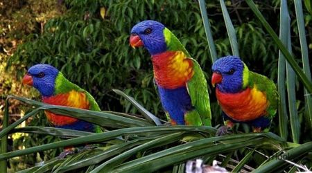 Four bedroom home with amazing views. Includes water, electricity & internet - Photo 5