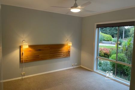 IMMACULATE - Photo 5