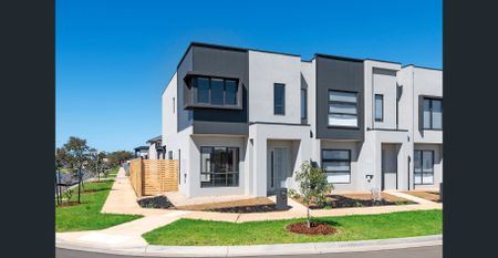 Sunny Corner Block with Extra Large Backyard and Lock-up Double Garage! - Photo 5