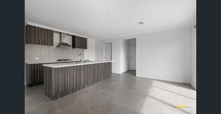 Modern unit in quiet pocket of St Leonards - Photo 3