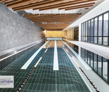 311/17 Chisholm Street, Wolli Creek NSW 2205 - Apartment For Rent |... - Photo 3