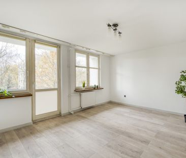 TAK dla ZWIERZĄT, 3 oddzielne pok, widna kuchnia - Фото 6