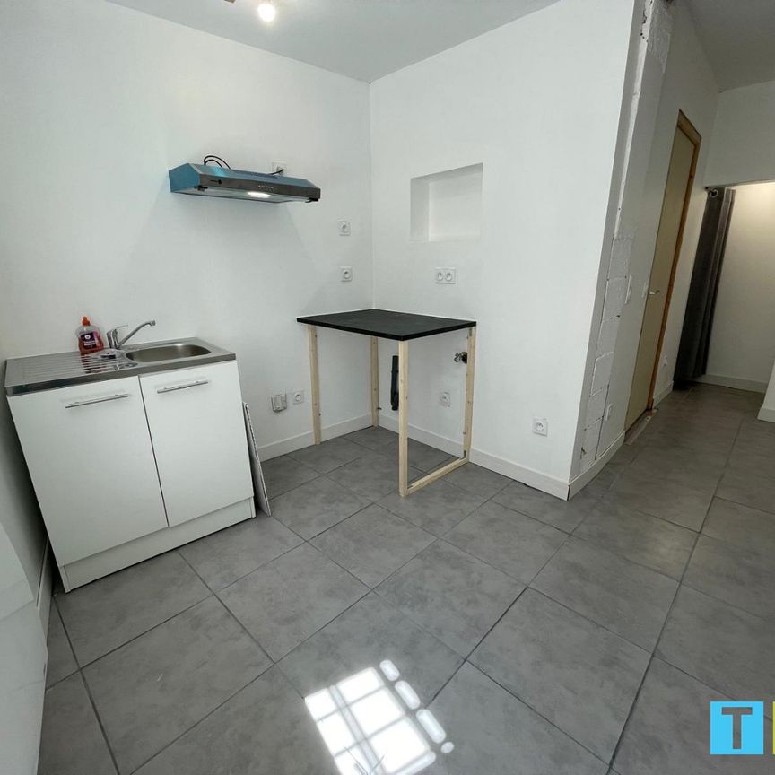 Location Appartement 1 pièce 20m² MONTREJEAU 31210 - Photo 1