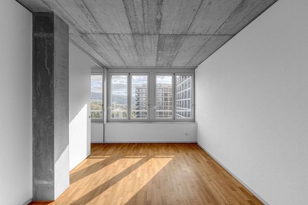 Moderne 3.5-Zimmer-Wohnung mit Weitblick - Photo 1