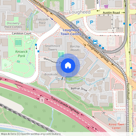 google map, Burnaby, Burnaby, Metro Vancouver, V3N 4P5