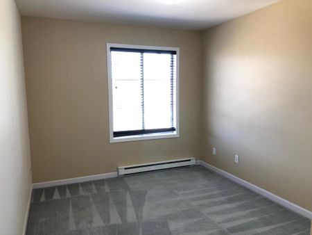 Lower Mission: Top Floor 2 bed, 2 bath – Jan.1st - Photo 4